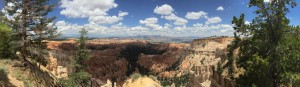IMG_0120 (1024x298)