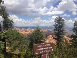 IMG_0749 (1024x768)