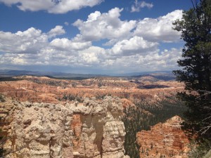 IMG_0752 (1024x768)