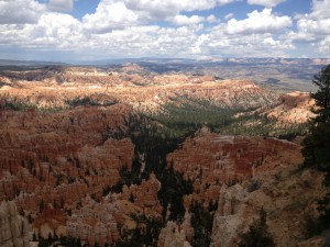 IMG_0754 (1024x768)