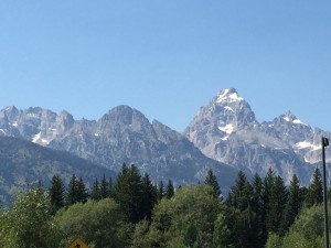 IMG_0229 (1024x768)