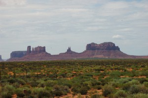 DSC_8464 (1024x681)