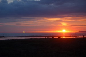 DSC_9362 (1024x681)