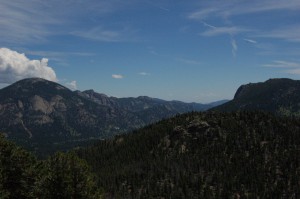 DSC_8175 