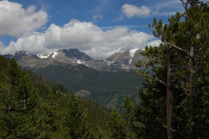 DSC_8178 