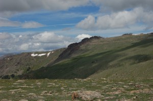 DSC_8193 