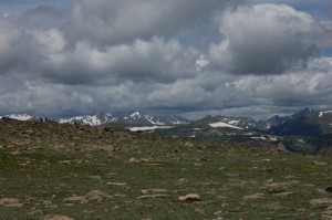 DSC_8194 
