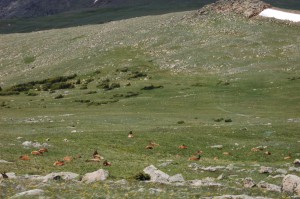 DSC_8205 