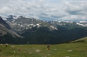 DSC_8206 