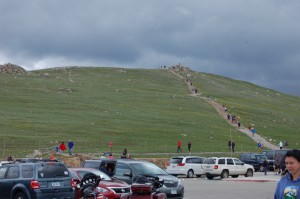 DSC_8211 