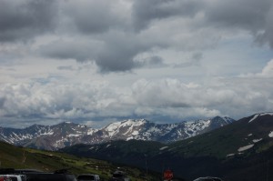 DSC_8220 
