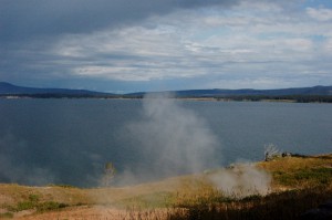 DSC_0479 (1024x681)