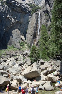 DSC_9862 (681x1024)