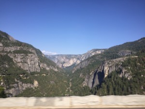 IMG_0213 (1024x768)