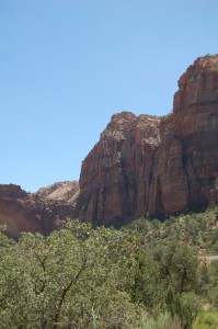 DSC_9184 (681x1024)