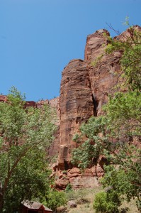 DSC_9271 (681x1024) 