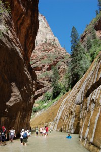 DSC_9283 (681x1024) 