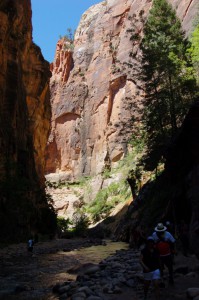 DSC_9286 (681x1024) 
