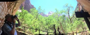 IMG_0150 (1024x403) 